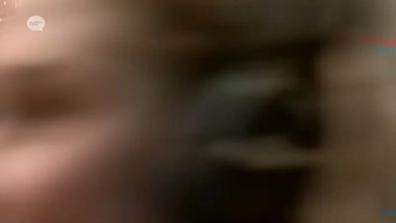 Hoofdafbeelding voor artikel Dieven stelen cash geld en…