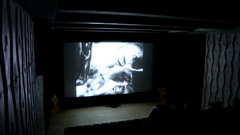 Hoofdafbeelding voor artikel Kortfilmfestival vindt van…