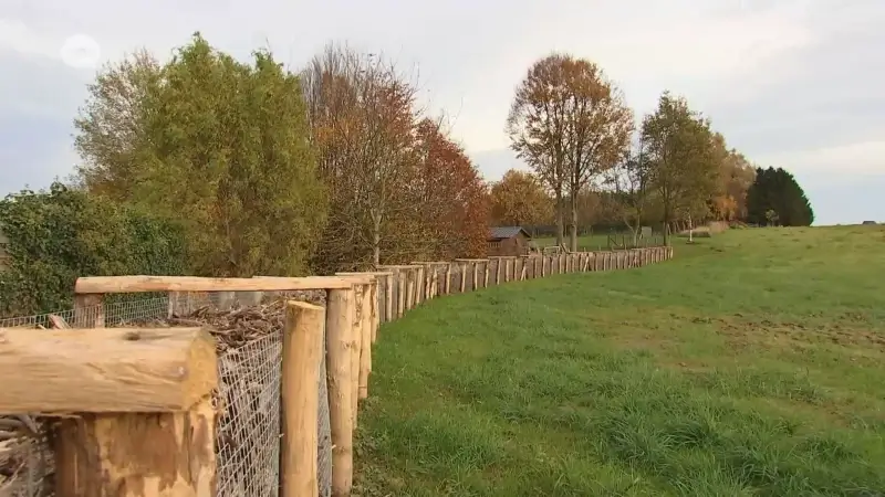 Provincie en gemeente Tervuren leggen houthakseldammen aan om water- en modderoverlast tegen te gaan