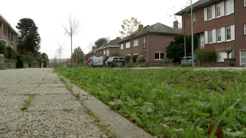 Leuven volgt zichzelf op als Vlaams Kampioen Tegelwippen