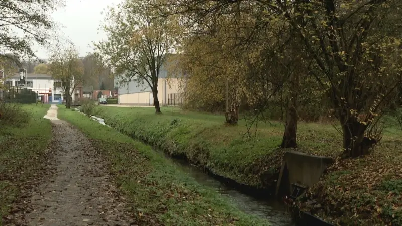 Huldenberg waarschuwt wandelaars voor everzwijnen op IJsepad