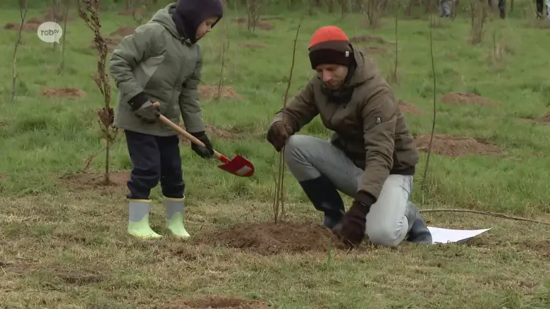 Hoofdafbeelding voor artikel 200 gezinnen planten boom…