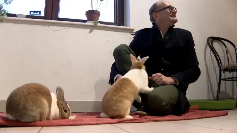 Vlaams minister van Dierenwelzijn Ben Weyts (N-VA) roept op om geen dieren als cadeau te geven: "Doe dat niet"