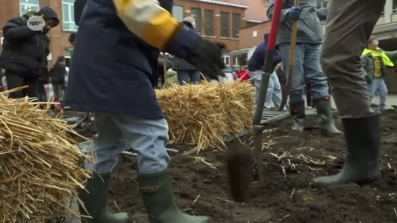 Basisschool KSD Sint-Jan in Diest plant eigen bos aan op de speelplaats: "Nu kan ik zeggen ik heb die, die en die boom geplant"