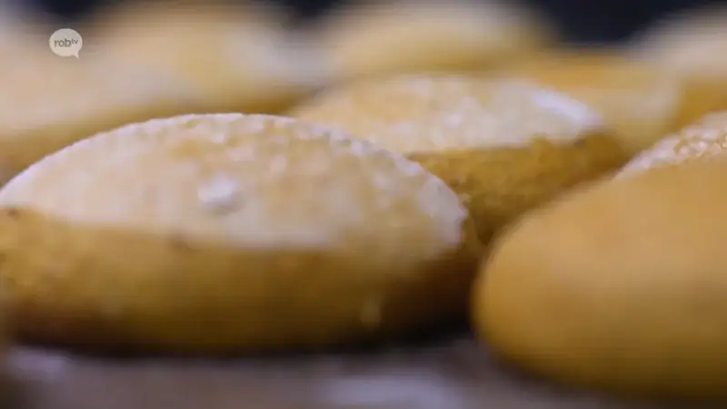 De Noppen van Scherpenheuvel