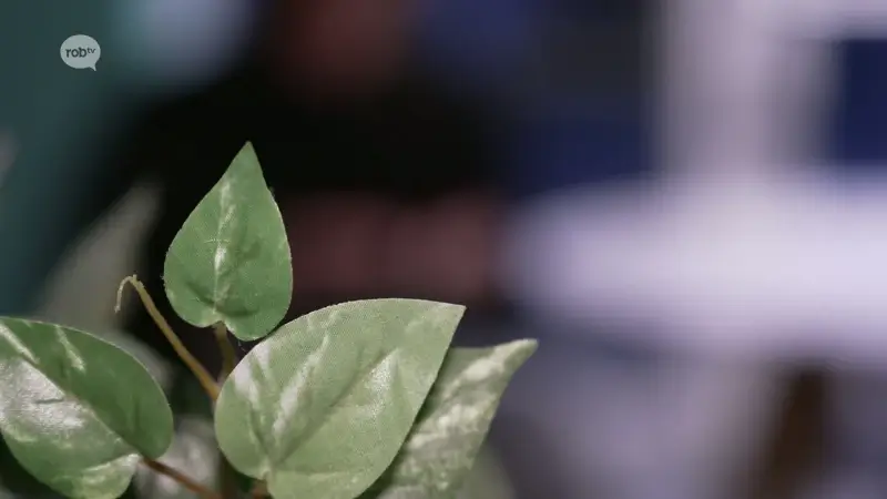 Vrouwen delen hun ervaringen over Tiense gynaecoloog die beschuldigd wordt van grensoverschrijdend gedrag: "Na elk vaginaal onderzoek, kreeg ik een klets op de billen"