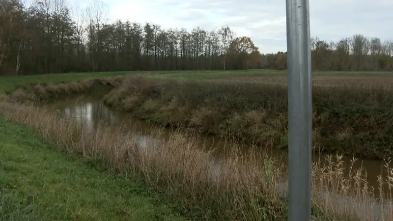 Na meer dan 10 jaar eindelijk vergunning voor brug over Demer in Messelbroek
