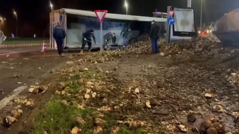 Hoofdafbeelding voor artikel 30 ton bieten op rijbaan nadat…