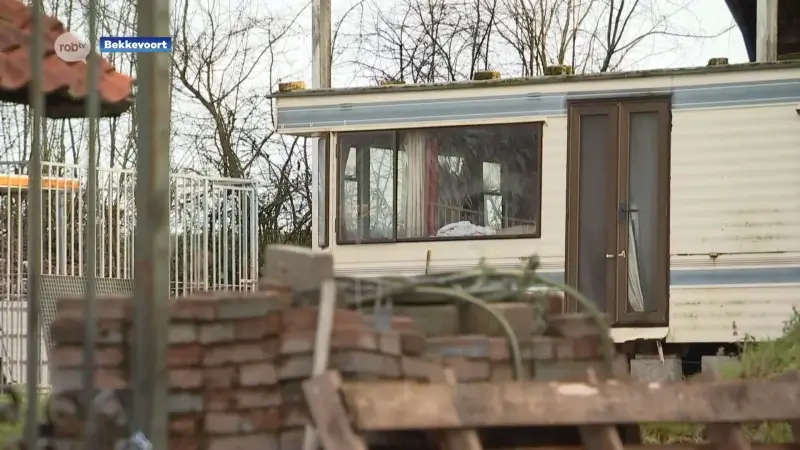 Hoofdafbeelding voor artikel Cannabisplantage opgerold…