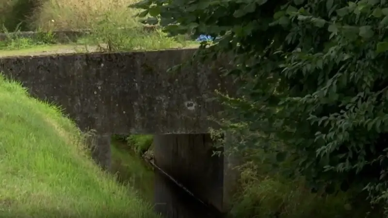 Hoofdafbeelding voor artikel Vlaamse Milieumaatschappij…