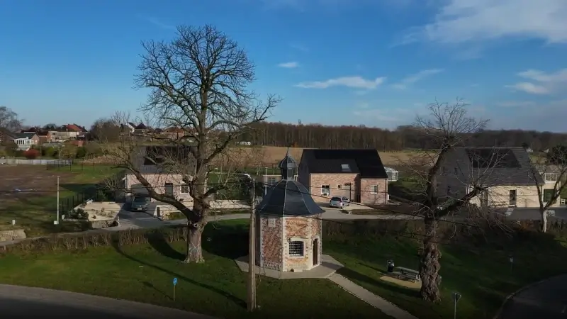 Hoofdafbeelding voor artikel De winterlinde aan de Kapel…