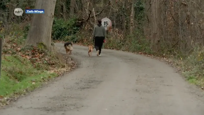 Buurt Kaaskorf Tielt-Winge moet wegen en riolering zelf betalen: "Factuur van gemiddeld 25.000 euro per perceel"
