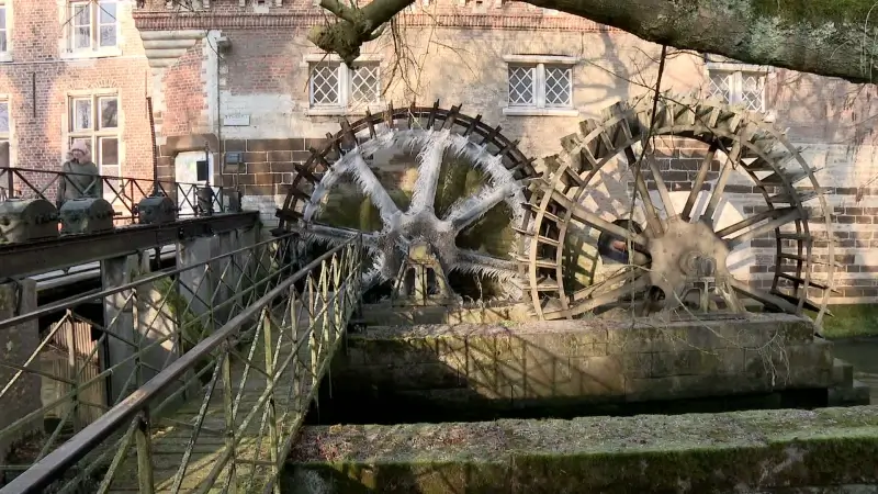 Bevroren watermolen lokt nieuwsgierigen naar Kasteel van Arenberg: "Dit heb ik nog nooit gezien. Het is echt prachtig."