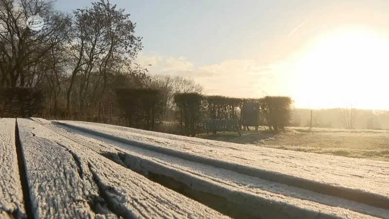 Hoofdafbeelding voor artikel De winter komt op gang in…