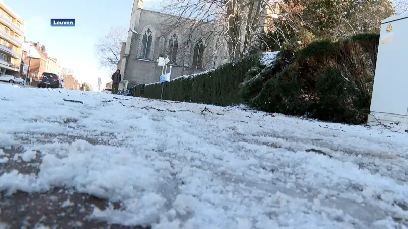 Wandelaars en lopers trotseren eerste sneeuw, provinciedomein het Vinne ligt er schitterend bij: "Het uitzicht is prachtig"
