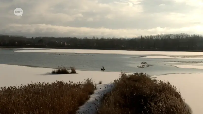 Oost-Brabant bedolven onder sneeuwtapijt: "Met de ondergaande zon nog mooier"