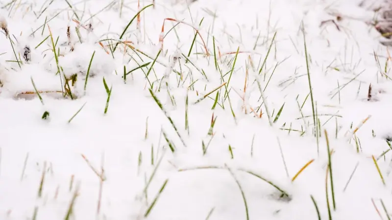 LIVEBLOG: Intense sneeuwbui trekt over onze regio