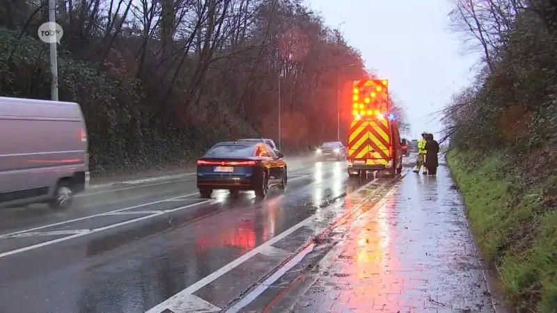 60-tal oproepen bij brandweer voor stormweer in onze regio: "omgewaaide bomen, afgebroken takken en losse elektriciteitskabels" 