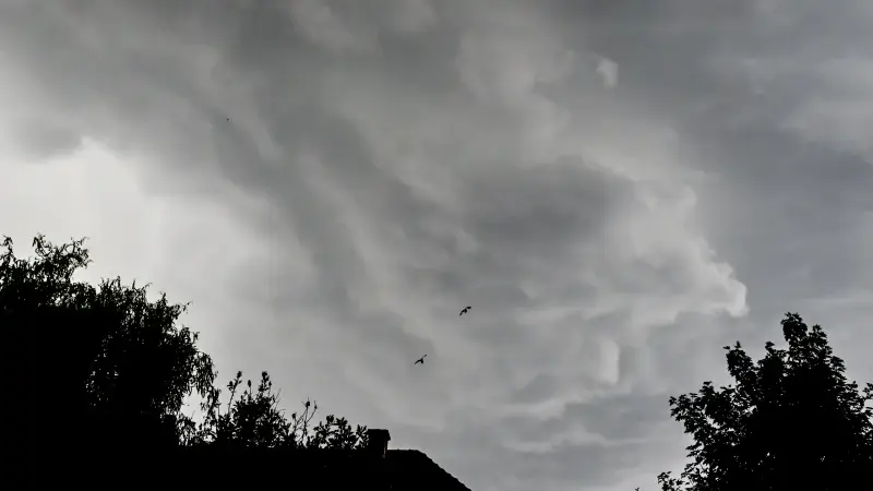 LIVEBLOG: storm Goretti zorgt voorlopig voor weinig problemen in Oost-Brabant