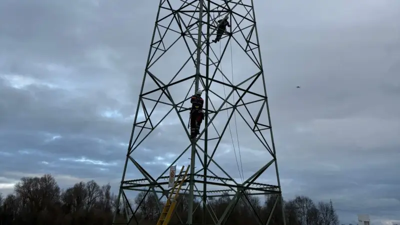 Nestkastjes voor torenvalken in Tienen verhuisd van hoogspanningslijn: "Hoop dat nestkasten dit jaar al terug bewoond zijn"
