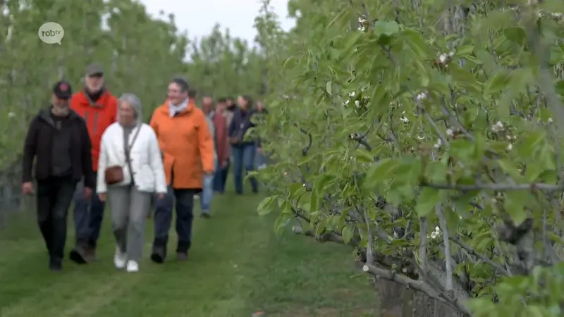 Hoofdafbeelding voor artikel Stad Zoutleeuw stopt met organisatie…