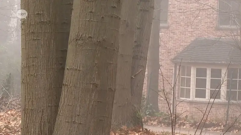 Hoofdafbeelding voor artikel Provincie keurt vergunningsaanvraag…