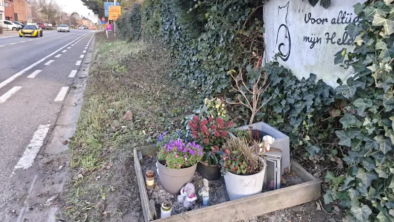 Ouders van overleden Maarten De Cat over schrappen werken Provinciesteenweg in Boortmeerbeek: "Onbegrijpelijk en heel pijnlijk" 