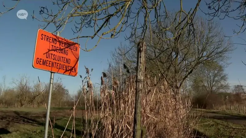 Zoutleeuw koopt oude stortplaats om er nieuw bos van te maken