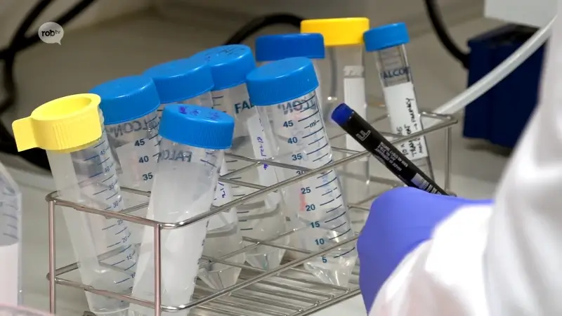 Spoeddienst AZ Diest ziet stijging in aantal patiënten met virale infecties: "Het is drukker"