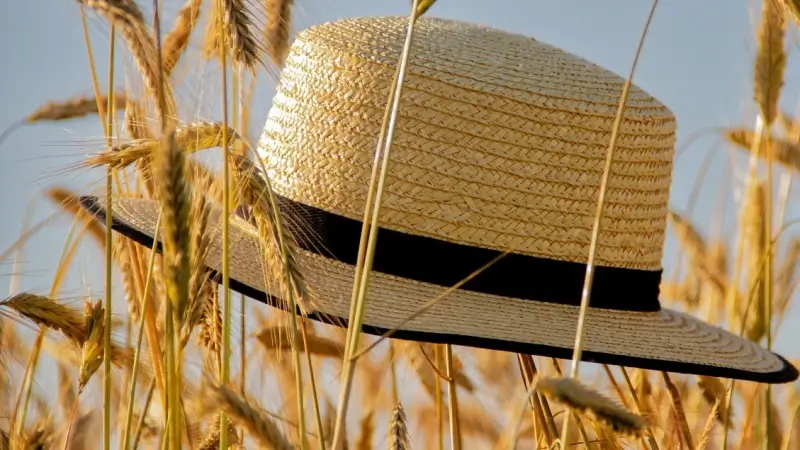 Zomerzoektocht Davidsfonds strijkt dit jaar neer in Diest: "Wandelingen met raadsels voor families"