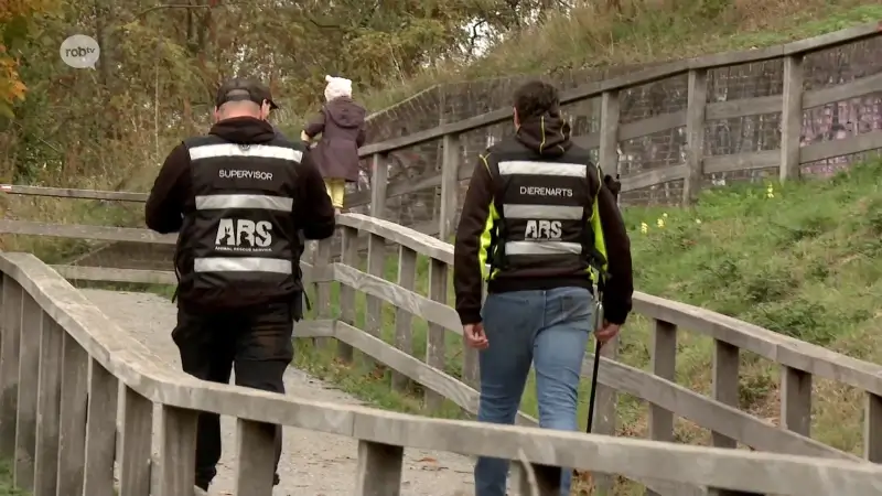 Hoofdafbeelding voor artikel Animal Rescue Service vzw…