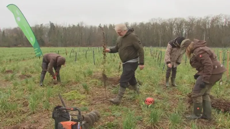 Nieuw bos van 2,8 hectare aangeplant in Vonnebroekstraat in Bierbeek: "2700 bomen"