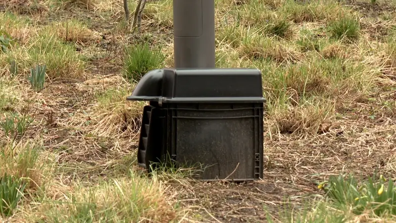 Stad Tienen vangt 850 ratten op jaar tijd met slimme rattenvallen