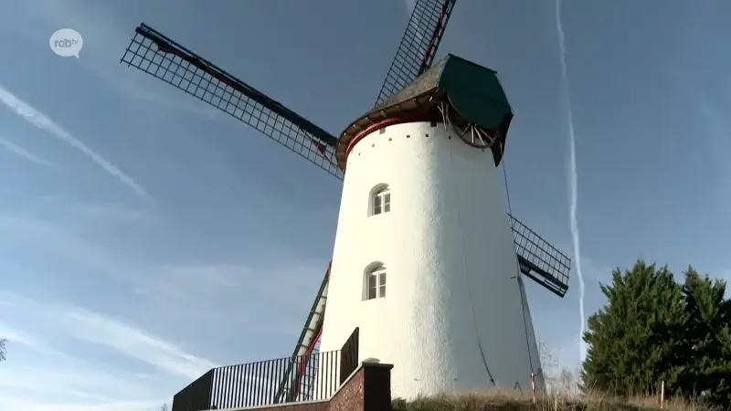 Ondanks beroepsprocedure zet de stad Aarschot door om de Witte Molen in erfpacht te krijgen