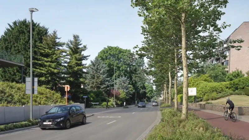 BEKIJK: Eerste voorontwerp voor heraanleg Celestijnenlaan in Leuven klaar: "Straat krijgt een totaal ander karakter"