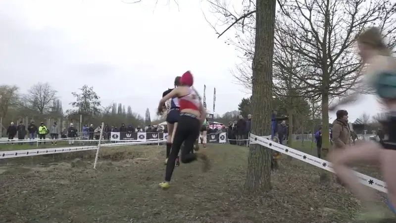 Hoofdafbeelding voor artikel Bijna 600 jonge atleten geven…