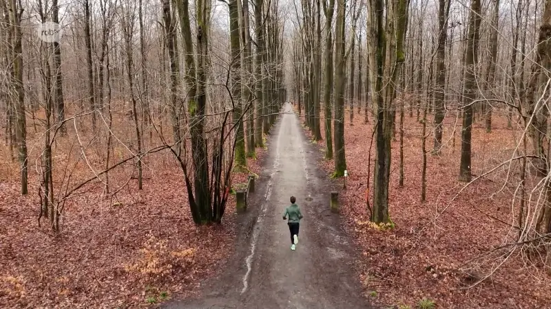 Hoofdafbeelding voor artikel Michael Somers blikt een jaar…