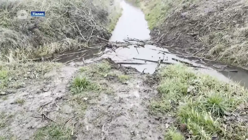 Beverdammen op grens Tienen-Linter met opzet vernield: "Dat is illegaal"