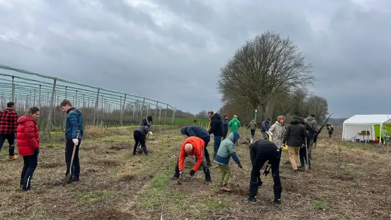 Natuurpunt Velpe-Mene plant nieuw bos aan in Bierbeek