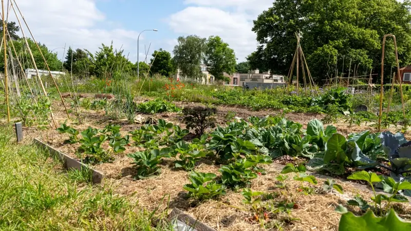 12 nieuwe volkstuintjes in Leuven