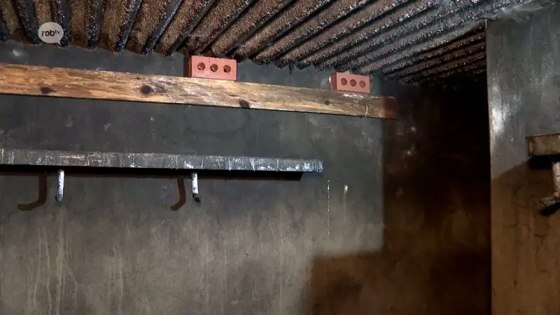 Natuurpunt telt zeventien vleermuizen in Keerbergen, twee meer dan vorig jaar