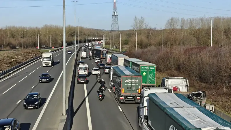 Man aangereden op E314 in Holsbeek, lange files richting Limburg