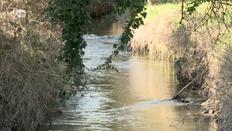 IJse in Huldenberg krijgt extra meander om wateroverlast te voorkomen: "Ook nieuwe recreatieplek"