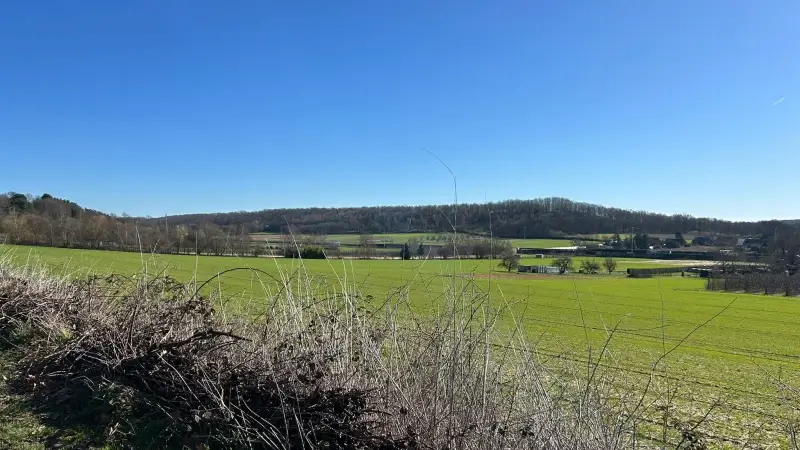 Buurtbewoners roepen op bezwaren in te dienen tegen komst van windturbines in Rotselaar: “Niet de ideale locatie”