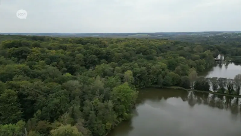 Nieuwe wandelroutes met bivakzones in nationaal park Brabantse Wouden over twee jaar klaar