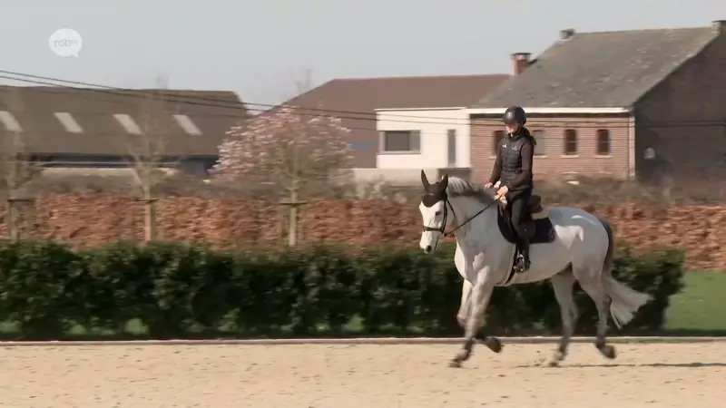 Paarden van Pieter Devos raken niet weg uit Doha: "Heel onzeker door spanningen Midden-Oosten"