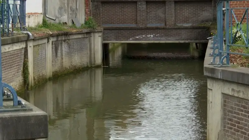 Gete in Tienen ligt opnieuw vol met brood, voorlopig geen spoor van sluikstorters