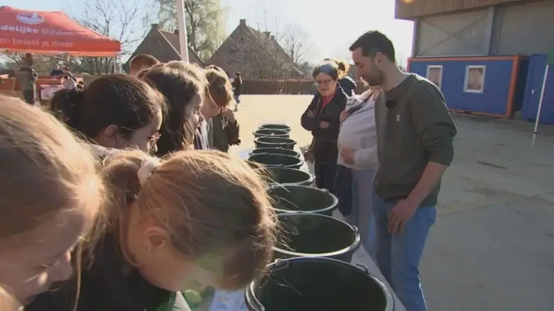 Kinderen maken kennis met boerenleven in Holsbeek: "Lokale boeren stellen hun bedrijf voor met actieve workshops"