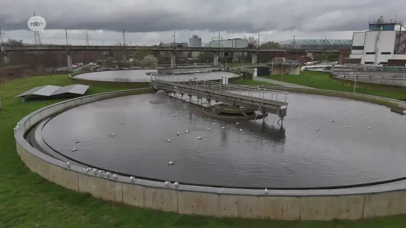 Onderzoekers Sciensano vinden bijna alle soorten illegale drugs in Leuvens rioolwater: "Beleid rond drugs intensief verderzetten"