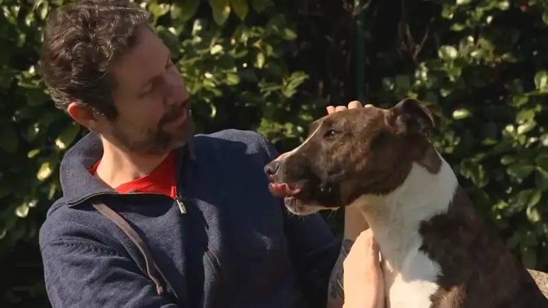 Fotografe Joke Mariën maakt foto's van honden die lang in het asiel zitten: "Bij Pacha uit Tienen ga je heel speelse foto's zien"